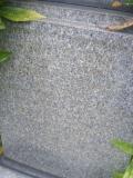 image of grave number 52309